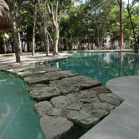 Tropical Paradise Apartment